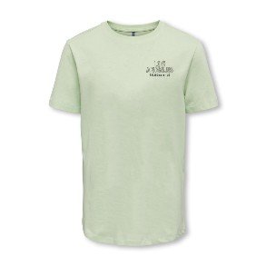 ONLY AND SONS JUNIOR Bok Choy Bowen T Shirt