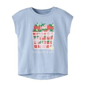 NAME IT Chambray Blue Viega T Shirt