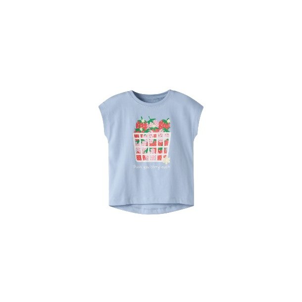 NAME IT Chambray Blue Viega T Shirt