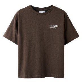NAME IT Chocolate Brown Felix T Shirt