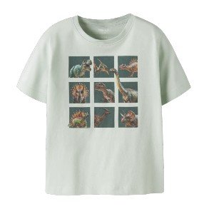 NAME IT Pale Qqua Voto T Shirt