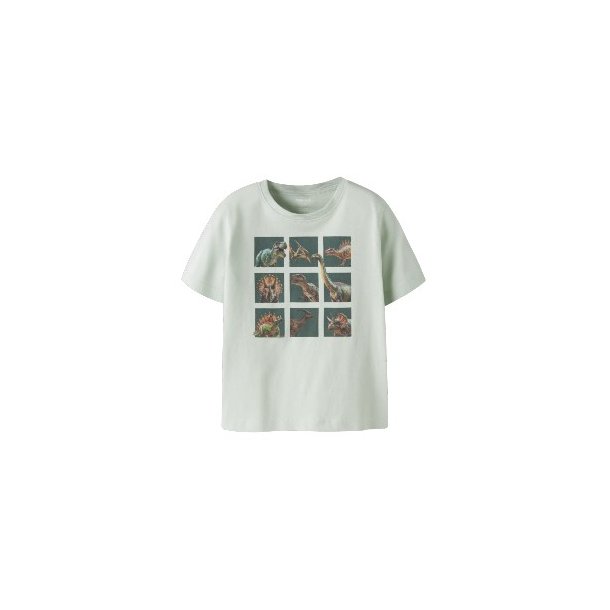 NAME IT Pale Qqua Voto T Shirt