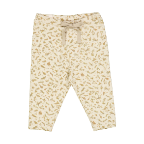 WHEAT Fossil Insects Manfred Pants